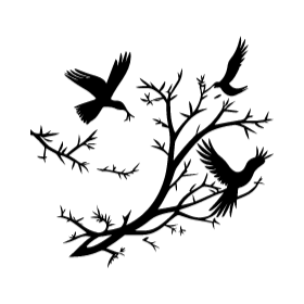 Rotulacion deco vinilo