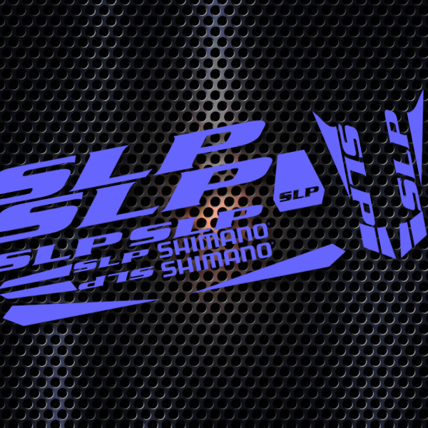 DTH00001038_PDF_DE_-SLP-_CALCOS_BICICLETA_SHIMANO__STICKERSREMOTOS_082025.jpg
