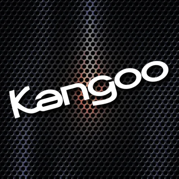 DTH00001216_RENAULT_KANGOO_STICKERSREMOTOS_052024.webp