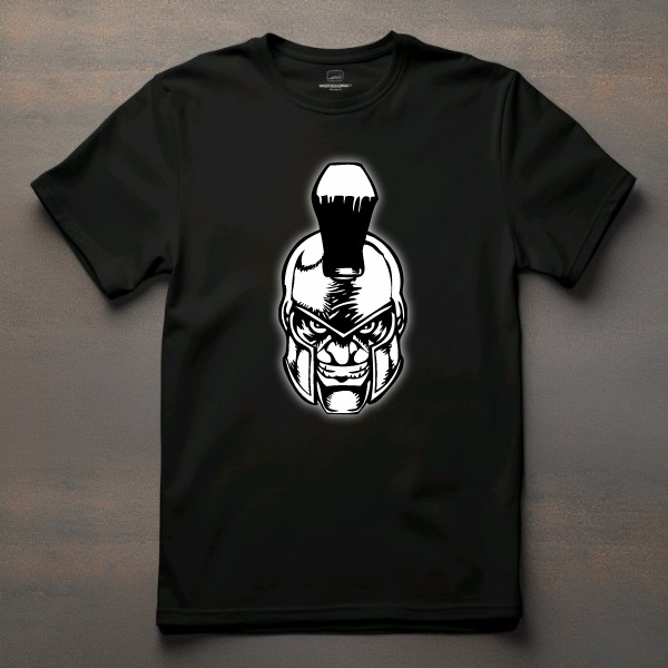 DTH00005621_GUERRERO_ENOJADO_DECO_VINILO_REMERA_DTF_STICKERSREMOTOS_112025.jpg
