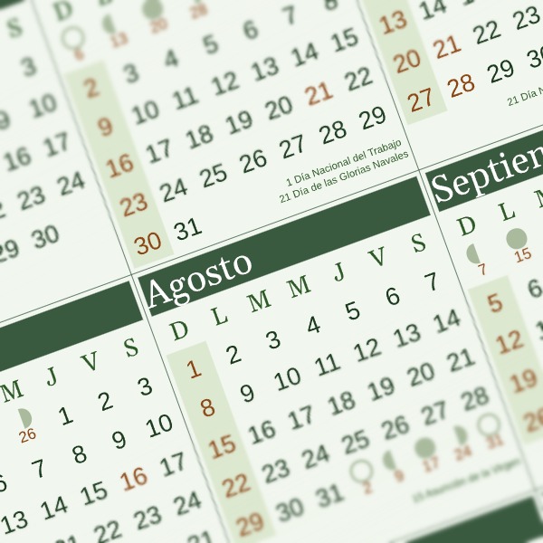 calendario 2027 chile bosque