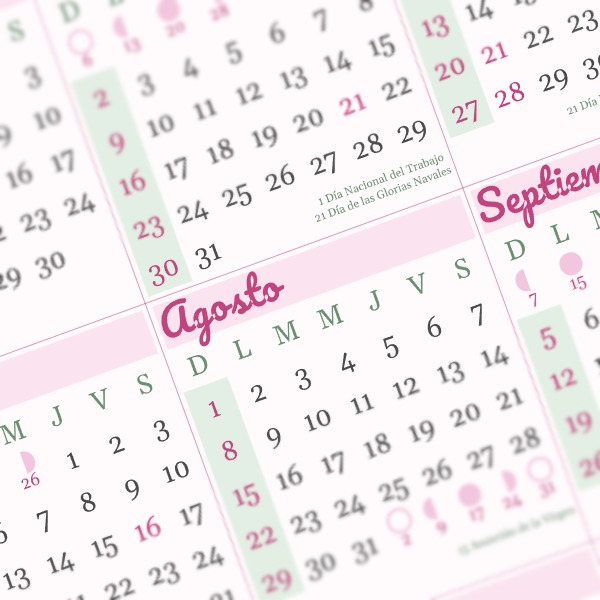 calendario 2027 chile floral
